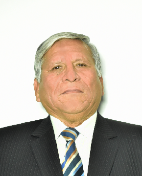 Ing. Janqui