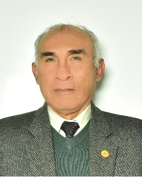 Ing. Salas