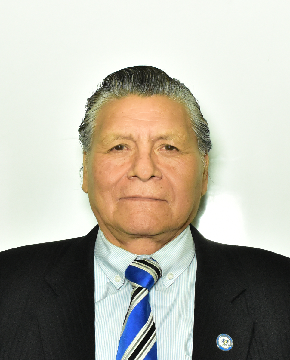 Ing. octavio
